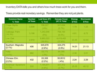 Inventory DATAtells you and others how much trees work for you and them.
Trees provide real monetary savings. Rememberthey are not just plants.
• JAX Stratum here
 