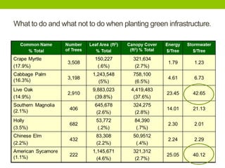 What to do and what not to do when planting green infrastructure.
• JAX Stratum here
 