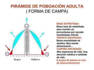 PIRÁMIDE DE POBOACIÓN ADULTA
      ( FORMA DE CAMPÁ)

                 BASE ESTREITADA:
                 Baixa taxa de natalidade,
                 pero mantén as
                 porcentaxes por escada
                 mortalidade infantil
                 TRONCO ANCHEADO:
                 Baixa mortalidade de
                 adultos: Boa saúde,
                 alimentación…
                 CÚSPIDE ANCHEADA:
                 Alta esperanza de vida: boa
                 atención médica e calidade
                 de vida
                 É propia de países en vías
                 de desenvolvemento
 