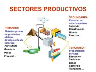 SECTORES PRODUCTIVOS
                   SECUNDARIO:
                   Elaboran as
                   materias primas:
                   Industria
PRIMARIO:          Construcción
Materias primas    Minería
ou productos       Enerxías…
obtidos
directamente da
natureza:
Agricultura
                   TERCIARIO:
Gandería
                   Proporcionan
Pesca              servizos:
Forestal…          Educación
                   Sanidade
                   Banca
                   Comercio
                   Transporte…
 