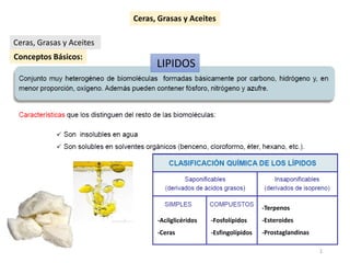 Conceptos Básicos:
LIPIDOS
-Acilglicéridos
-Ceras
-Fosfolípidos
-Esfingolípidos
-Terpenos
-Esteroides
-Prostaglandinas
Ceras, Grasas y Aceites
Ceras, Grasas y Aceites
1
 