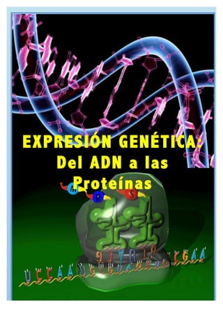 EXPRESIÓN GENÉTICA:
Del ADN a las
Proteínas
 