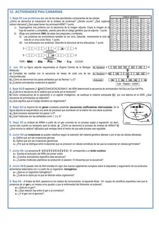 AA A A A ~3´5´~Ac. Nucleico
AA AA AAnticodón
H2N ~ Péptido ~ COOH
Ac. Nucleico 3´~ C CC CC ~5´
11
22
AA A A A ~3´5´~ AA A A AAA A A A ~3´5´~Ac. Nucleico
AA AA AAA AA AAnticodón
H2N ~ Péptido ~ COOH
Ac. Nucleico 3´~ C CC CC ~5´C CC CC ~5´
11
22
12. ACTIVIDADES PAU CANARIAS
1. Sept 02 Las proteínas son uno de los más abundantes componentes de las células
¿Cómo se denomina el mecanismo de la síntesis de proteínas? ¿Dónde ocurre? ¿Qué orgánulo
celular interviene?¿Qué papel tienen los aminoacil-ARNt? 1 punto.
a) Supongamos una proteína con la secuencia de la imagen adjunta. Copia la imagen en tu
hoja de examen y complétala, usando para ello el código genético que se adjunta. 1 punto.
b) (Elige una (solamente UNA) de estas dos preguntas y contéstala:
cI) Las proteínas las encontramos también en los virus. Describe brevemente el ciclo de
vida de un virus (ciclo lítico). 1 punto.
cII) Los anticuerpos son proteínas. Describe la estructura de los anticuerpos. 1 punto.
2. Jun 03 La figura adjunta esquematiza el Dogma Central de la Biología
Molecular.
a) Completa las casillas con la secuencia de bases de cada una de las
macromoléculas.
b) ¿Cómo se denominan los pasos señalados por las flechas 1 y 2?
c) ¿Cuántos aminoácidos contendrá el péptido?
3. Sept 03 El segmento 3´-CAACCCAACACACACAAA-5´ del ADN determinará la secuencia de aminoácidos Val-Gly-Leu-Cys-Val-Phe.
a) ¿Cuál es la secuencia de la cadena que es leída por el ribosoma?
b) Como consecuencia de la exposición a un agente mutagénico, se sustituye la cisteína subrayada (C) por una alanina en el ADN. ¿Qué
secuencia de aminoácidos se obtendría?
c) ¿Qué significa que el Código Genético es degenerado?
4. Sept 03 La mayoría de los genes nucleares presentan secuencias codificadoras interrumpidas. En la
figura adjunta se esquematiza una serie de procesos que acontecen en el interior de una célula eucariota.
a) ¿Qué procesos representan los pasos I y II?
b) ¿Qué moléculas son las señaladas como 1, 2 y 3?
5. Sept 03 La síntesis de ARNm a partir de un gen concreto es un proceso sujeto a regulación, es decir,
ocurre sólo cuando es necesario para la célula. a) ¿Cómo se denomina el proceso de síntesis de ARNm? b)
¿Qué enzima la cataliza? c)Explica qué ventajas tiene el hecho de que este proceso sea regulable.
6. Junio 04 Las mutaciones se pueden clasificar según la extensión del material genético alterado o por el tipo de células afectadas.
a.- Define qué son las mutaciones génicas.
b.- Define qué son las mutaciones genómicas
c.- ¿Por qué se distingue entre mutaciones que se producen en células somáticas de las que se ocasionan en células germinales?
7. Junio 04 - La secuencia 5´- U C U C C U C U C U C U – 3´ corresponde a un ácido nucleico.
a.- Escriba el anticodón del ARNt del primer codón
b.- ¿Cuántos aminoácidos especifica esta secuencia?
c.- ¿Cuántas moléculas peptídicas se producirán sI pasaran 10 ribosomas por la secuencia?
8. Junio 04 El pasado mes de Abril entraba en vigor dos nuevos reglamentos europeos sobre el etiquetado y seguimiento de los productos
alimentarios elaborados con o a partir de un organismo transgénico.
a.- ¿Qué es un organismo transgénico?
b.- ¿Cuál es la razón por la que se fabrican estos organismos?
9. Sep 04.- A finales de Abril, aparecía en los medios de comunicación, el siguiente titular “Un equipo de científicos españoles cree que la
presencia de un gen y un herpes-virus ayudan a que la enfermedad del Alzheimer se extienda”.
a.- ¿Qué es un gen?.
b.- ¿Qué relación hay entre el gen y la cromatina?.
c.- ¿Y el gen con el genoma?.
33
5´
1
3´
3´ 5´
I
II 2
3
Célula
5´ 3´
33
5´
1
3´
3´ 5´
I
II 2
3
Célula
5´ 3´
A	
  
Trp
 