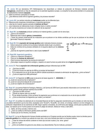 19. Junio 06 Los laboratorios GTC Biotherapeutics han desarrollado un método de producción de fármacos mediante animales
transgénicos, actualmente en fase de evaluación por la autoridad reguladora europea. La compañía ha sido pionera también en la producción
de medicamentos mediante clonación.
a.- Definir los términos subrayados en el texto
b.- ¿Qué diferencia existe entre la ingeniería genética y los procesos naturales?
20. Junio 06. Los cambios inducidos por mutaciones pueden ser de diferentes tipos.
a.- Diferencia entre mutaciones cromosómicas y mutaciones genómicas.
b.- ¿Qué tipo de mutación aparece asociada al síndrome de Down?
c.- ¿Las mutaciones son alteraciones al azar o dirigidas hacia un cambio concreto?
d.- ¿Por qué las mutaciones son la base de la selección de las especies?
21. Sept 06. Las mutaciones producen cambios en el material genético y pueden ser de varios tipos.
a.- ¿Qué es una mutación?.
b.- Diferencias entre mutación génica y cromosómica.
c.- ¿Tienen las mismas consecuencias las mutaciones que se producen en las células somáticas que las que se producen en las células
germinales? Razona la respuesta
22. Sept 06. En la expresión del mensaje genético están implicados diversos procesos.
a.- Indica la secuencia numérica de los procesos implicados desde el gen a la proteína.
b.- Indica los nombres de los procesos señalados en el esquema adjunto por los números:
1, 2 y 3.
c.- ¿Qué tipo de organismo puede llevar a cabo el paso numero 4?
23. Sept 06. Ingeniería genética.
a.- ¿Qué es un organismo transgénico?
b.- ¿Qué son los enzimas de restricción?
c.- ¿Qué funciones desempeñan las enzimas de restricción?
d.- ¿Qué peligro respecto al equilibrio ecológico y respecto a la salud humana se puede derivar de la Ingeniería genética?
24. Junio 07. Para la expresión de la información genética participan diferentes tipos de ARN
a.- ¿Qué tipos de ARN?
b.- ¿Cuál es la función de cada tipo de ARN en el proceso de biosíntesis?
c.- En la maduración de uno de los tipos de ARN en células eucariotas es necesario la eliminación de segmentos, ¿cómo se llaman?
d.- ¿Cuál es el papel de la ARN polimerasa?
25. Junio 07. Un fragmento de ADN posee la secuencia de bases siguiente: 3’…AGAGAGA. .5´
a.- ¿Cuál es la secuencia tras la replicación?
b.- ¿Cuál es la secuencia después de la transcripción?
c.- ¿Cuál es el objetivo de la transcripción?
26. Sept 07. Los premios Nobel de Fisiología y Medicina, y de Química de 2006 fueron para estudios relacionados con la expresión de la
información genética donde participan distintos tipos de ARN.
a.- ¿Qué tipos de ARN conoces?
b.- ¿Dónde se originan cada uno de ellos?
c.- En las células eucariotas ¿Cómo se llaman los segmentos que se eliminan en la maduración de uno de los tipos de ARN?
d.- ¿Cómo se denominan los segmentos que quedan y se traducen?
27. Sept 07. Un profesor de veterinaria de la Universidad Nacional de Seúl ha asegurado recientemente que ha clonado con éxito dos lobos.
Los análisis demostraron que los dos lobos, bautizados como "Snuwolf" y "Snuwolffy", son clones, sin embargo, todavía no se han entregado una
verificación independiente de los exámenes de ADN. Según expertos consultados, de confirmarse este hallazgo, servirá para la protección de los
lobos, una especie que en muchos países se encuentra en peligro de extinción. (Noticia en prensa. 2 abril 2007).
a.- Define, de forma concreta, el término clon.
b.- ¿Cómo se codifica la información genética dentro del ADN?
c.- Explica qué son los intrones y los exones
28. Sept 07. La Ley de Reproducción Humana Asistida aprobada por el Congreso permite que las familias puedan iniciar los trámites para la
selección genética de un embrión que además de nacer sano, sirva como donante para tratar a su hermano enfermo.
a.- ¿Todas las células del embrión contienen el mismo tipo de ácido nucleico y los ismos genes?
b.- ¿Qué es un gen?
c.- ¿Cómo se transfieren los genes de unas células a sus descendientes (Tipo de molécula y proceso)?
 