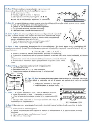  
36. Sept 09.	
  La	
  síntesis	
  de	
  una	
  macromolécula	
  se	
  representa	
  como	
  la	
  
secuencia	
  de	
  unidades	
  del	
  1	
  al	
  6,	
  simbolizada	
  (Y),	
  en	
  el	
  esquema	
  	
  
a.-­‐	
  ¿De	
  qué	
  proceso	
  se	
  trata?	
  	
  
b.-­‐	
  Indica	
  qué	
  orgánulo	
  participa	
  en	
  el	
  proceso	
  	
  
c.-­‐	
  ¿Qué	
  tipo	
  de	
  macromolécula	
  corresponde	
  a:	
  5´-­‐	
  B	
  -­‐3´?	
  	
  
d.-­‐	
  ¿Qué	
  tipo	
  de	
  macromolécula	
  se	
  incorpora	
  en	
  el	
  punto	
  ©?	
  	
  
37. Sept 09. La mayoría de los genes nucleares presentan secuencias codificadoras interrumpidas, es decir, contienen intrones y exones
a.- ¿Cuál es la naturaleza química de los intrones y los exones?
b.- ¿Qué tipo de ARN recién transcrito contiene estos fragmentos?
c.- ¿En qué lugar de la célula se producirá la transcripción?
d.- ¿Qué fragmentos se traducirán, los intrones o exones?
38. Junio 10_Gen. Los procesos patológicos humanos, que dependen de la expresión de
los genes , a menudo muestran fallos celulares en el nivel que se representa en la imagen.
a. A partir del esquema adjunto, indique los nombres de los componentes que
aparecen señalados con letras de la A a la G.
b. ¿Cómo se denomina el proceso de expresión representado?
c. ¿Dónde se lleva a cabo este proceso en la célula?
39. Junio 10_Esp. El denominado “Dogma Central de la Biología Molecular " descrito por Watson en 1953 sentó las bases del
conocimiento actual de la Biología Molecular.La siguiente secuencia polinucleotídica corresponde a una de las hebras de ADN de
un gen bacteriano:
5´ATGCGAGGGGAAAATGCGTGTGTG 3`
a. Indique la secuencia de la hebra complementaria, señalando los extremos 5`y 3`.
b. A partir de la secuencia enunciada en la pregunta, indique la secuencia de ARN que se generaría señalando sus extremos
5´y 3´.
c. ¿Cuál sería el número máximo de aminoácidos que codificaría la secuencia obtenida?
d. Indique cómo se denomina al proceso que representa la excepción al Dogma central
citado.
40. Sept 10_Esp. La imagen de la derecha representa cierto proceso celular.
a.- ¿De qué proceso se trata?
b.- Sustituye los números de 1 al 11 por lo que corresponda.
c.- ¿Este proceso se realiza en las células procariotas y/o en las eucariotas?
41. Sept 10_Gen. La mayoría de los genes nucleares presentan secuencias codificadoras interrumpidas.
En la figura adjunta se esquematiza una serie de procesos que acontecen en el interior de una célula
eucariota.
a.- ¿Qué procesos representan los pasos I y II?
b.- ¿Qué moléculas son las señaladas como 1, 2 y 3?
42. Junio 11. El esquema representa el Dogma Central de la Biología Molecular
a. ¿Cómo se denominan los pasos 1 y 2 señalados por las flechas?
b. ¿Cómo se llaman las biomoléculas incluidas en los compartimentos I, II
y III?
c. Indica por orden, cuáles serán los codones que participan en la síntesis de
la biomolécula del compartimento III.
43. Sept 11. Las mutaciones se pueden clasificar según la extensión del material genético alterado o por el tipo de células
afectadas.
a. Define qué son las mutaciones génicas.
b. ¿Por qué se distingue entre mutaciones que se producen en células somáticas de las que se ocasionan en células
germinales?
c. ¿Cómo se puede originar una célula con una trisomía?
d. ¿Qué entiendes por cariotipo?
 