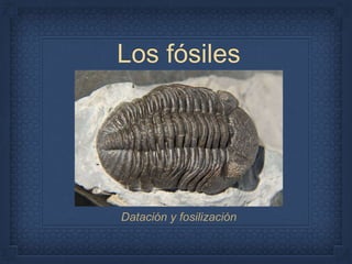 Los fósiles
Datación y fosilización
 