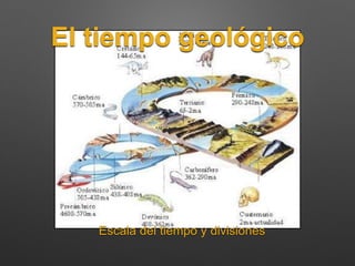 El tiempo geológico
Escala del tiempo y divisiones
 