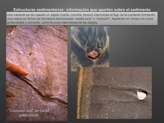 Estructuras sedimentarias: información que aportan sobre el sedimento
Una variante se da cuando un objeto (canto, concha, tronco) interrumpe el flujo de la corriente formando
una marca en forma de herradura denominada “media luna” o “crescent”. Aparecen en zonas con poca
profundidad y corriente, como la zona intermareal de las playas.
“Crescent cast” en rocas
paleozoicas
 