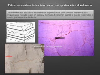 Estructuras sedimentarias: información que aportan sobre el sedimento
Los estilolitos son estructuras sedimentarias diagenéticas de disolución con forma de sutura
irregular que a menudo se dan en calizas y mármoles. Se originan cuando la roca se ve sometida a
presión que favorece la disolución.
Estilolitos en calizas y mármoles
 