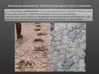 Estructuras sedimentarias: información que aportan sobre el sedimento
-Las estructuras sedimentarias son de gran ayuda para la datación relativa ya que
sirven para reconocer y determinar el techo o el muro de los estratos.
-Aportan información sobre las características del ambiente de sedimentación y por
tanto son un instrumento de reconstrucción paleoambiental y paleoclimático.
 