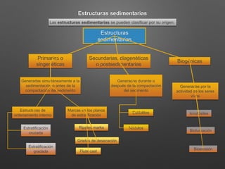 Estructuras sedimentarias
Las estructuras sedimentarias se pueden clasificar por su origen:
Estructuras
sedimentarias
Primarias o
singenéticas
Secundarias, diagenéticas
o postsedimentarias
Biogénicas
Generadas simultáneamente a la
sedimentación o antes de la
compactación del sedimento
Generadas durante o
después de la compactación
del sedimento
Generadas por la
actividad de los seres
vivos
Estructuras de
ordenamiento interno
Marcas en los planos
de estratificación
Estratificación
cruzada
Estratificación
gradada
Nódulos
Estilolitos
Ripples marks
Flute cast
Grietas de desecación
Icnofósiles
Bioturbación
Bioerosión
 