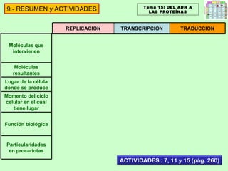 Tema 15: DEL ADN A LAS PROTEÍNAS 9.- RESUMEN y ACTIVIDADES REPLICACIÓN TRANSCRIPCIÓN TRADUCCIÓN Moléculas que intervienen Moléculas resultantes Lugar de la célula donde se produce Momento del ciclo celular en el cual tiene lugar Función biológica Particularidades en procariotas ACTIVIDADES : 7, 11 y 15 (pág. 260) 