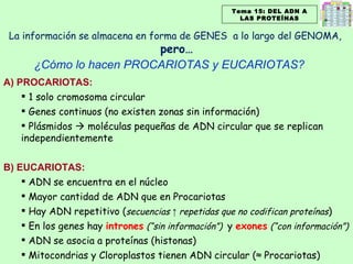 Tema 15: DEL ADN A LAS PROTEÍNAS A) PROCARIOTAS: 1 solo cromosoma circular Genes continuos (no existen zonas sin información) Plásmidos    moléculas pequeñas de ADN circular que se replican independientemente B) EUCARIOTAS: ADN se encuentra en el núcleo Mayor cantidad de ADN que en Procariotas Hay ADN repetitivo ( secuencias  ↑  repetidas que no codifican proteínas ) En los genes hay  intrones   (“sin información”)  y  exones   (“con información”) ADN se asocia a proteínas (histonas) Mitocondrias y Cloroplastos tienen ADN circular ( ≈  Procariotas) La información se almacena en forma de GENES  a lo largo del GENOMA,  pero… ¿Cómo lo hacen PROCARIOTAS y EUCARIOTAS? 