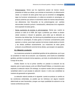 Alteraciones de la información genética – Biología 2º de Bachillerato   12


       Protooncogenes. Genes que los organismos poseen de manera natural,
        presentes en todas sus células, que controlan el crecimiento y la diferenciación
        celular. La mutación de estos genes hace que se conviertan en oncogenes,
        dejan de funcionar correctamente y la célula se convierte en cancerígena, al
        producir proteínas que activan el crecimiento celular de manera descontrolada.
        Las alteraciones más frrecuentes en los protooncogenes son: cambios
        estructurales (mutación puntual o translocación), alteraciones de la regulación
        de la expresión de estos genes…

       Genes supresores de tumores (o anti-oncogenes). Genes que, cuando se
        produce un daño en el ADN, dan lugar a proteínas que inhiben la división
        celular excesiva e inducen la apoptosis, para evitar que la alteración se
        transmita a las células hijas. Así disminuye la probabilidad de que una célula se
        convierta en cancerígena. Si estos genes no funcionan correctamente puede
        aparecer un cáncer, pues el gen supresor de tumores mutado pierde su función
        y las células proliferan excesivamente. Las mutaciones de estos genes
        producen una proliferación anormal de las células, que escapan a la apoptosis.

       4.2.- Mutación y evolución

       Las mutaciones aumentan la variabilidad genética de las poblaciones, por lo que
se consideran el motor de la evolución. Las mutaciones, como fuente de variabilidad
genética, permiten la evolución de las especies y, por tanto, la continuidad de la vida a
lo largo de los años.

       Charles Darwin no fue el primer científico en postular la evolución de las
especies, pero sí quien propuso, junto con Alfred Russell Wallace, un mecanismo para
explicarla, la selección natural. Sin embargo, no supieron revelar cómo se originaba la
variabilidad sobre la cual actuaba la selección natural, ni cómo esa variabilidad se
mantenía de generación en generación.

       La selección natural consiste en lo siguiente: cuando se produce un cambio en
las condiciones ambientales, es posible que los individuos con alguna mutación
determinada se vean favorecidos y tengan una mayor posibilidad de sobrevivir en las
nuevas condiciones que otros.
 