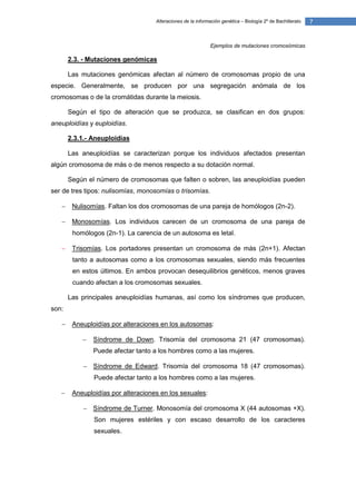Alteraciones de la información genética – Biología 2º de Bachillerato   7


                                                             Ejemplos de mutaciones cromosómicas

       2.3. - Mutaciones genómicas

       Las mutaciones genómicas afectan al número de cromosomas propio de una
especie. Generalmente, se producen por una segregación anómala de los
cromosomas o de la cromátidas durante la meiosis.

       Según el tipo de alteración que se produzca, se clasifican en dos grupos:
aneuploidías y euploidías.

       2.3.1.- Aneuploidías

       Las aneuploidías se caracterizan porque los individuos afectados presentan
algún cromosoma de más o de menos respecto a su dotación normal.

       Según el número de cromosomas que falten o sobren, las aneuploidías pueden
ser de tres tipos: nulisomías, monosomías o trisomías.

       Nulisomías. Faltan los dos cromosomas de una pareja de homólogos (2n-2).

       Monosomías. Los individuos carecen de un cromosoma de una pareja de
        homólogos (2n-1). La carencia de un autosoma es letal.

       Trisomías. Los portadores presentan un cromosoma de más (2n+1). Afectan
        tanto a autosomas como a los cromosomas sexuales, siendo más frecuentes
        en estos últimos. En ambos provocan desequilibrios genéticos, menos graves
        cuando afectan a los cromosomas sexuales.

       Las principales aneuploidías humanas, así como los síndromes que producen,
son:

       Aneuploidías por alteraciones en los autosomas:

              Síndrome de Down. Trisomía del cromosoma 21 (47 cromosomas).
               Puede afectar tanto a los hombres como a las mujeres.

            Síndrome de Edward. Trisomía del cromosoma 18 (47 cromosomas).
               Puede afectar tanto a los hombres como a las mujeres.

       Aneuploidías por alteraciones en los sexuales:

            Síndrome de Turner. Monosomía del cromosoma X (44 autosomas +X).
               Son mujeres estériles y con escaso desarrollo de los caracteres
               sexuales.
 