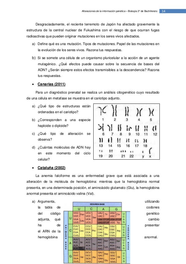T15. mutaciones hipatia