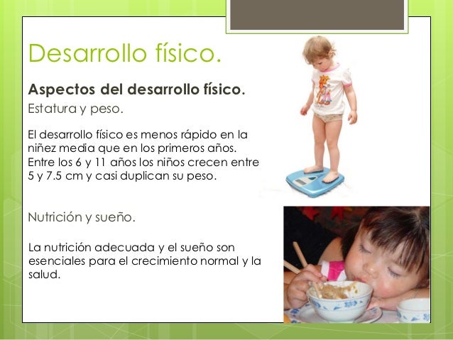 T15, desarrollo físico y cognoscitivo de la infancia media
