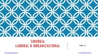 SINERGIA
LABORAL U ORGANIZACIONAL
Psicología Organizacional I Dr. José Modesto Ventura
TEMA 16
 