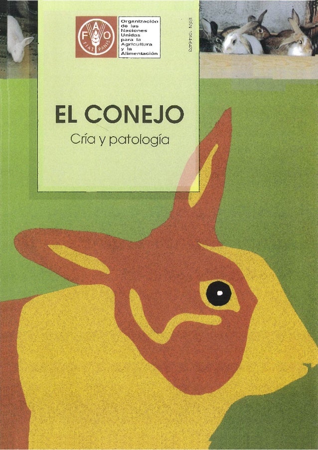 Conejo Bunny fresca hierba heno 750/ g