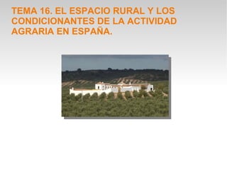 TEMA 16. EL ESPACIO RURAL Y LOS
CONDICIONANTES DE LA ACTIVIDAD
AGRARIA EN ESPAÑA.
 