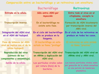 Comparación entre un bacteriófago y un retrovirus con envoltura
Bacteriófago Retrovirus
Entrada en la célula. Sólo entra ADN por
inyección
Entra todo el virus en el
citoplasma, excepto la
envoltura.
Transcripción inversa. En el bacteriófago no
existe esta fase.
Formación de ADN bicatenario
por transcripción inversa del
ARN viral.
Integración del ADN viral
en el ADN del huésped.
En el ciclo del bacteriófago
sólo se produce en la
lisogenia.
En el ciclo de los retrovirus se
produce en todos los casos.
Fase de latencia (el ADN
viral se replica con el de la
célula huésped).
El bacteriófago en este
estado se llama “profago”.
El retrovirus en este estado
se llama “provirus”.
Reproducción del virus
(síntesis de sus
componentes y ensamblaje).
Transcripción del ADN viral
en ARNm y duplicación del
ADN viral.
Transcripción del ADN viral en
ARNm viral y ARN viral.
Salida de la célula. Las partículas virales salen
por rotura (lisis) de la
bacteria.
Las nuevas partículas virales salen
por gemación de la célula envueltas
en una porción de membrana
plasmática.
 