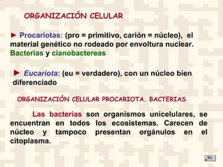 ORGANIZACIÓN CELULAR
► Procariotas: (pro = primitivo, carión = núcleo), el
material genético no rodeado por envoltura nuclear.
Bacterias y cianobactereas
► Eucariota: (eu = verdadero), con un núcleo bien
diferenciado
Las bacterias son organismos unicelulares, se
encuentran en todos los ecosistemas. Carecen de
núcleo y tampoco presentan orgánulos en el
citoplasma.
ORGANIZACIÓN CELULAR PROCARIOTA. BACTERIAS
 