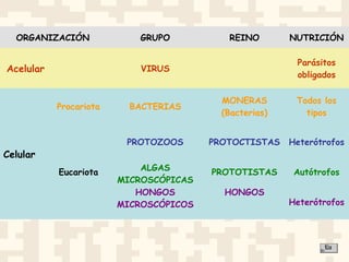 ORGANIZACIÓN GRUPO REINO NUTRICIÓN
Acelular VIRUS
Parásitos
obligados
Celular
Procariota BACTERIAS
MONERAS
(Bacterias)
Todos los
tipos
Eucariota
PROTOZOOS PROTOCTISTAS Heterótrofos
ALGAS
MICROSCÓPICAS
PROTOTISTAS Autótrofos
HONGOS
MICROSCÓPICOS
HONGOS
Heterótrofos
 
