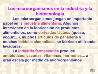 Los microorganismos en la industria y la
biotecnología
Los microorganismos juegan un importante
papel en la industria alimentaría. Algunos
intervienen en la fabricación de productos
alimenticios, como derivados lácteos (queso,
yogurt…), muchos artículos de panadería y
muchas bebidas alcohólicas, se fabrican utilizando
levaduras.
La industria farmacéutica produce
antibióticos, vacunas, vitaminas, hormonas... a
gran escala por medio de microorganismos.
 