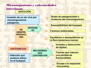 Microorganismo y enfermedades
infecciosas
MECANISMOS
QUE
CONTRIBUYEN
DEPENDE
DENO
SIEMPRE
PRODUCE
UNA
•Infección que
produce daños
en el huésped
•Invasión de un ser vivo por
microorganismos
patógenos.
INFECCIÓN
ENFERMEDAD
Susceptibilidad del huesped.
Grado de patogenicidad o
virulencia del microorganismo.
Factores ambientales.
Equilibrios o desequilibrios en
la flora bacteriana normal.
Invasión y destrucción
de tejidos.
Toxinas que inducen
una pérdida de
funcionalidad.
Escape a la respuesta
inmunitaria.
 