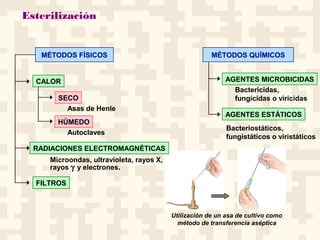 Esterilización
MÉTODOS FÍSICOS
RADIACIONES ELECTROMAGNÉTICAS
FILTROS
SECO
HÚMEDO
CALOR
Asas de Henle
Autoclaves
Microondas, ultravioleta, rayos X,
rayos γ y electrones.
AGENTES MICROBICIDAS
MÉTODOS QUÍMICOS
AGENTES ESTÁTICOS
Bactericidas,
fungicidas o viricidas
Bacteriostáticos,
fungistáticos o viristáticos
Utilización de un asa de cultivo como
método de transferencia aséptica
 
