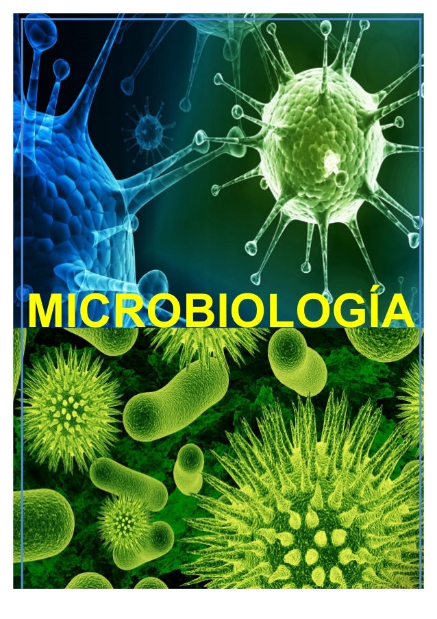 T 16 microbiologia 2º bach 16 17