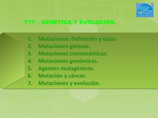 T17 – GENÉTICA Y EVOLUCIÓN.


 1.   Mutaciones. Definición y tipos.
 2.   Mutaciones génicas.
 3.   Mutaciones cromosómicas.
 4.   Mutaciones genómicas.
 5.   Agentes mutagénicos.
 6.   Mutación y cáncer.
 7.   Mutaciones y evolución.
 