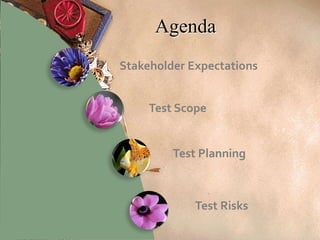Stakeholder Expectations
Test Scope
Test Planning
Test Risks
6
Agenda
 