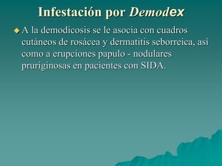 Infestación por Demodex
 A la demodicosis se le asocia con cuadros
cutáneos de rosácea y dermatitis seborreica, así
como a erupciones papulo - nodulares
pruriginosas en pacientes con SIDA.
 