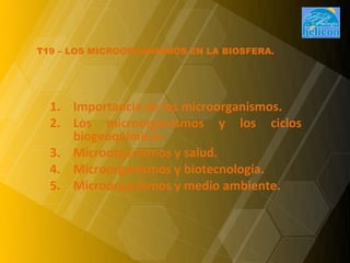 T19 – LOS MICROORGANISMOS EN LA BIOSFERA.




  1. Importancia de los microorganismos.
  2. Los microorganismos y los ciclos
     biogeoquímicos.
  3. Microorganismos y salud.
  4. Microorganismos y biotecnología.
  5. Microorganismos y medio ambiente.
 