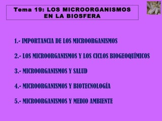 Tema 19: LOS MICROORGANISMOS
        EN LA BIOSFERA



1.- IMPORTANCIA DE LOS MICROORGANISMOS

2.- LOS MICROORGANISMOS Y LOS CICLOS BIOGEOQUÍMICOS

3.- MICROORGANISMOS Y SALUD

4.- MICROORGANISMOS Y BIOTECNOLOGÍA

5.- MICROORGANISMOS Y MEDIO AMBIENTE
 