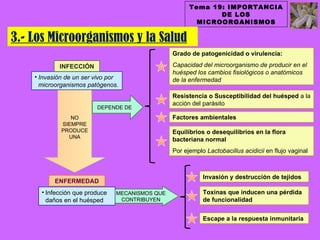 Tema 19: IMPORTANCIA
                                                              DE LOS
                                                         MICROORGANISMOS

3.- Los Microorganismos y la Salud
                                                 Grado de patogenicidad o virulencia:

            INFECCIÓN                            Capacidad del microorganismo de producir en el
                                                 huésped los cambios fisiológicos o anatómicos
    • Invasión de un ser vivo por                de la enfermedad
      microorganismos patógenos.
                                                 Resistencia o Susceptibilidad del huésped a la
                                                 acción del parásito
                         DEPENDE DE
                NO                               Factores ambientales
             SIEMPRE
             PRODUCE                             Equilibrios o desequilibrios en la flora
               UNA
                                                 bacteriana normal
                                                 Por ejemplo Lactobacillus acidicii en flujo vaginal



                                                            Invasión y destrucción de tejidos
          ENFERMEDAD
      • Infección que produce   MECANISMOS QUE              Toxinas que inducen una pérdida
        daños en el huésped      CONTRIBUYEN                de funcionalidad


                                                            Escape a la respuesta inmunitaria
 