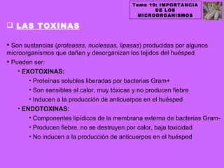 Tema 19: IMPORTANCIA
                                                 DE LOS
                                            MICROORGANISMOS

 LAS TOXINAS

 Son sustancias (proteasas, nucleasas, lipasas) producidas por algunos
microorganismos que dañan y desorganizan los tejidos del huésped
 Pueden ser:
    • EXOTOXINAS:
        • Proteínas solubles liberadas por bacterias Gram+
        • Son sensibles al calor, muy tóxicas y no producen fiebre
        • Inducen a la producción de anticuerpos en el huésped
    • ENDOTOXINAS:
        • Componentes lipídicos de la membrana externa de bacterias Gram-
        • Producen fiebre, no se destruyen por calor, baja toxicidad
        • No inducen a la producción de anticuerpos en el huésped
 