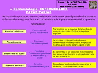 Tema 19: IMPORTANCIA
                                                              DE LOS
                                                         MICROORGANISMOS
        Epidemiología. ENFERMEDADES
               PARASITARIAS
No hay muchos protozoos que sean parásitos del ser humano, pero algunos de ellos provocan
enfermedades muy graves. Se tratan con quimioterapia. Algunos ejemplos son los siguientes:
                           Originada por:

                                                  Transmitidos por la picadura de la hembra del
                            Esporozoos del
  Malaria o paludismo                             mosquito Anopheles. Endémica de países
                          género Plasmodium
                                                  tropicales.


                             Esporozoo            Se adquiere por ingestión de alimentos
    Toxoplasmosis                                 contaminados con este parásito. No produce
                          Toxoplasma gondii
                                                  lesiones, pero resulta peligroso para el feto.


                                 Flagelados       Se transmite por las picaduras de la mosca tse-
 Enfermedad del sueño    Tripanosoma gambiensi,   tse, siendo el ser humano el principal reservorio
                            T. rhodesiense y T.   de esta enfermedad.
                                   brucei


                             Sarcodino            Causada por quistes del protozoo en agua o
  Disentería amebiana   Entamoeba histolytica     alimentos contaminados con heces.
 