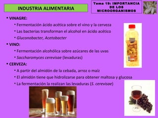 Tema 19: IMPORTANCIA
                                                       DE LOS
      INDUSTRIA ALIMENTARIA                       MICROORGANISMOS

 VINAGRE:
    • Fermentación ácido acética sobre el vino y la cerveza
    • Las bacterias transforman el alcohol en ácido acético
    • Gluconobacter, Acetobacter
 VINO:
    • Fermentación alcohólica sobre azúcares de las uvas
    • Saccharomyces cerevisae (levaduras)
 CERVEZA:
    • A partir del almidón de la cebada, arroz o maíz
    • El almidón tiene que hidrolizarse para obtener maltosa y glucosa
    • La fermentación la realizan las levaduras (S. cerevisae)
 