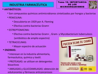 Tema 19: IMPORTANCIA
      INDUSTRIA FARMACÉUTICA                           DE LOS
                                                  MICROORGANISMOS
 ANTIBIÓTICOS:
    • Son compuestos químicos antimicrobianos sintetizados por hongos y bacterias
    • PENICILINA:
         • Descubierta en 1929 por A. Fleming
         • Efectiva contra bacterias Gram+
    • ESTREPTOMICINA:
         • Efectiva contra bacterias Gram+ , Gram- y Mycobacterium tuberculosis
            (antibiótico de amplio espectro)
    • TETRACICLINAS:
          • Mayor espectro de actuación
 ENZIMAS:
     • Interesan en la industria alimentaria,
     farmacéutica, química y textil.
     • PROTEASAS: se utilizan en detergentes
     bioactivos
     • AMILASAS y GLUCOAMILASAS: obtención de
     edulcorantes y fármacos anticancerosos
 