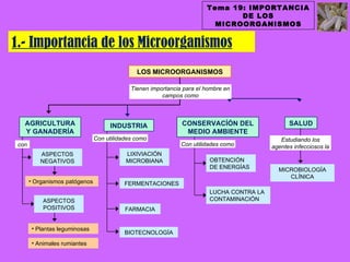Tema 19: IMPORTANCIA
                                                                               DE LOS
                                                                          MICROORGANISMOS


1.- Importancia de los Microorganismos
                                               LOS MICROORGANISMOS

                                             Tienen importancia para el hombre en
                                                        campos como



   AGRICULTURA                       INDUSTRIA                 CONSERVACÍÓN DEL                  SALUD
   Y GANADERÍA                                                  MEDIO AMBIENTE
                                Con utilidades como                                           Estudiando los
 con                                                           Con utilidades como         agentes infecciosos la
          ASPECTOS                         LIXIVIACIÓN
          NEGATIVOS                        MICROBIANA                    OBTENCIÓN
                                                                         DE ENERGÍAS         MICROBIOLOGÍA
                                                                                                CLÍNICA
       • Organismos patógenos              FERMENTACIONES
                                                                         LUCHA CONTRA LA
           ASPECTOS                                                      CONTAMINACIÓN
           POSITIVOS                       FARMACIA


       • Plantas leguminosas
                                           BIOTECNOLOGÍA
       • Animales rumiantes
 