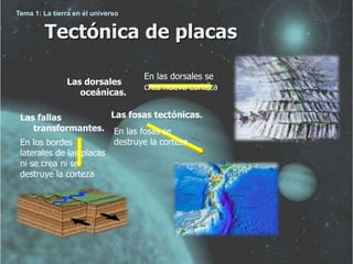 Tema 1: La tierra en el universo 
Tectónica de placas 
Las dorsales 
oceánicas. 
Las fallas Las fosas tectónicas. 
transformantes. 
En las dorsales se 
crea nueva corteza 
En las fosas se 
En los bordes destruye la corteza 
laterales de las placas 
ni se crea ni se 
destruye la corteza 
 