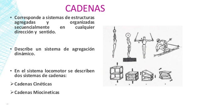 cadenas cinematicas estabilidad biomec 225 nica aplicada generalidades cadenas cinematicas estabilidad biomec 225 nica aplicada generalidades