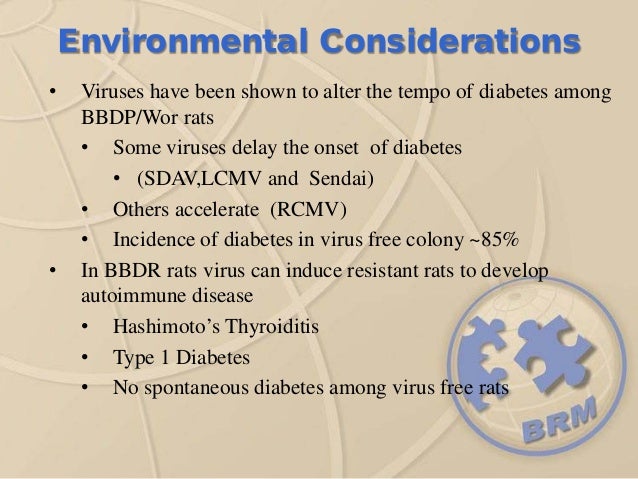 Type 1 Diabetes Pre-Clinical Research