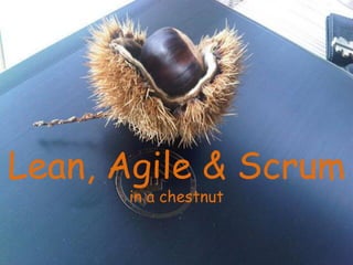 Lean, Agile & Scrum
in a chestnut
 