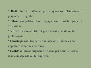 RAW:  format estàndar per a qualsevol plataforma o pragrama  gràfic. TGA:  compatible amb equips amb tarjeta gràfic a Truevision. Scitex CT:  format utilitzat per a documents de calitat  professional. Filmstrip:  s’utilitza per fer animacions. També es pot  importaro exportar a Premiere. FlashPix:  format originari de Kodak per obrir de forma  ràpida imatges de calitat superior. 