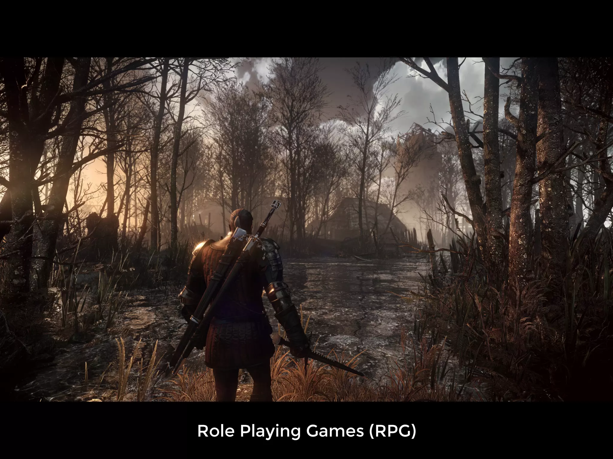 Role Playing Games (RPG)
 