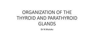 ORGANIZATION OF THE
THYROID AND PARATHYROID
GLANDS
Dr N Mutuku
 