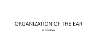 ORGANIZATION OF THE EAR
Dr N. Mutuku
 